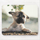 Suche nach lecken sie mousepads Hund