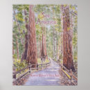 Suche nach redwood poster Kalifornien