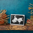 Suche nach form fotoplatten Jede person