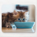 Suche nach tierthemen mousepads Fotografie