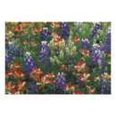 Suche nach texas landschaft poster Darrell gulin
