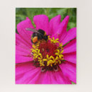 Suche nach hummel puzzle Blume