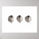 Suche nach sheep poster Lamb