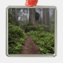 Suche nach moos ornamente Usa