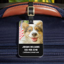 Suche nach corgi gepäckanhänger Welpe