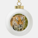 Suche nach sibirischer tiger ornamente Jede person