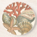 Suche nach die muschel untersetzer Seehecht