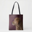 Suche nach golden retriever taschen Hund