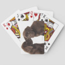 Suche nach friendship spielkarten Animal