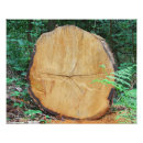 Suche nach protokoll poster Holz