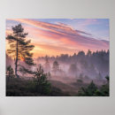 Suche nach immergrüner baum poster Natur