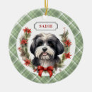 Suche nach havanese ornamente Welpe