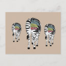 Suche nach zebras postkarten Streifen