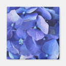 Suche nach blaue hydrangeas magnete Natur