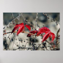 Suche nach leinwanddrucke poster Flora