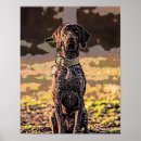 Suche nach zeiger poster Hund