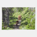 Suche nach braunbären geschirr tücher Tierwelt