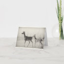 Suche nach whitetail karten Hirsche