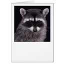 Suche nach raccoon karten Zeichnend