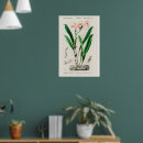 Suche nach cattleya poster Für alle
