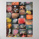 Suche nach unterwasser poster Meer