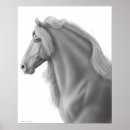 Suche nach friesian horse poster Friesianisch