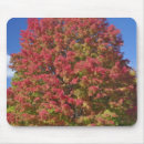 Suche nach ahornbaum mousepads Niemand