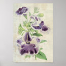 Suche nach petunie kunst Botanisch