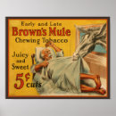 Suche nach kauen poster Tabak