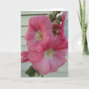 Suche nach rosa hollyhock karten Natur