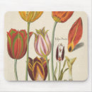 Suche nach tulpen mousepads Blumen