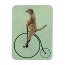 Suche nach meerkat magnete Tiere
