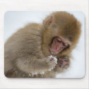Suche nach temperatur mousepads Consumerproduct