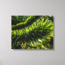 Suche nach baum fotodruck Blätter
