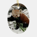 Suche nach roter panda ornamente Bär