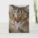 Suche nach maine coon karten Münze