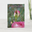 Suche nach liebe rosen karten Rosa