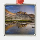 Suche nach usa ornamente Fall