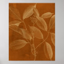 Suche nach botaniker poster Floral