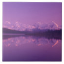 Suche nach denali fliesen Landschaftlich