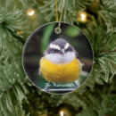 Suche nach kleine vögel ornamente Niedlich