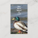 Suche nach tiervisitenkarte Fotografie