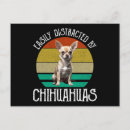 Suche nach kleiner chihuahua postkarten Hund