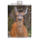 Suche nach deer flachmänner Schwarzwild