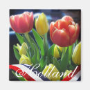 Suche nach niederländisches magnete Tulpen