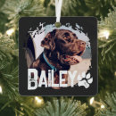 Suche nach cooles ornamente Weihnachtsgeschenk