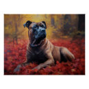 Suche nach cane corso poster Haustier