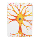 Suche nach magnetische poster Wissenschaft