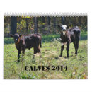 Suche nach kälber kalender Kühe