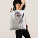 Suche nach falter taschen Katze